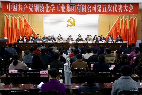铜官区铜化集团党委：聚焦党建引领 聚力发展大局.png