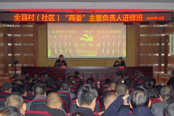 枞阳县：抓乡促村整乡推进 全面提升基层党建工作质量.jpg
