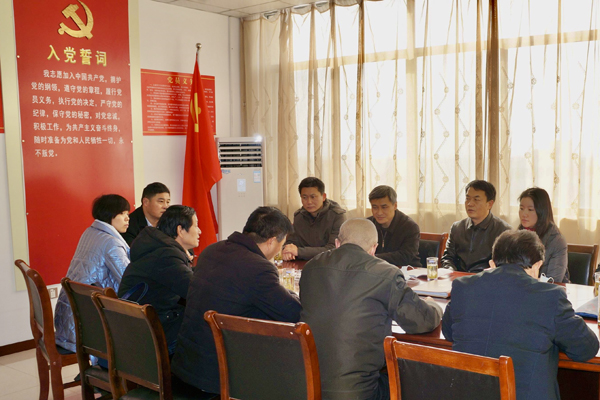 枞阳县“1234”助推非公党建上台阶.jpg
