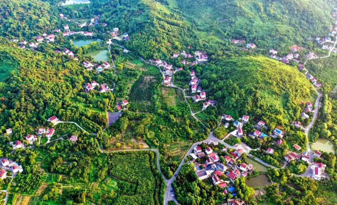 农林村：乡村振兴铺展多彩图景1.jpg