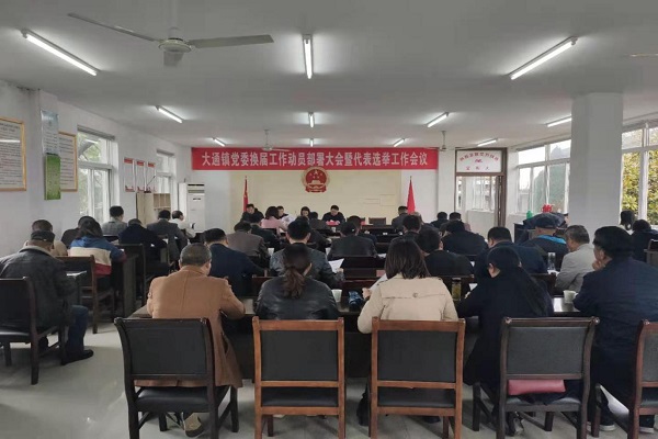 4月3日上午，大通镇召开2021年党委换届工作动员部署大会暨发表选举工作会议.jpg