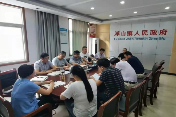枞阳县浮山镇“三步走”强化党建引领 有序衔接乡村振兴.jpg