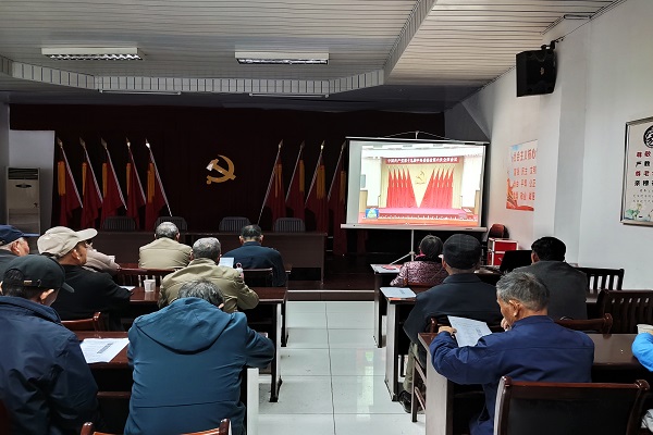 郊区多措并举推进基层党建工作提质增效.jpg