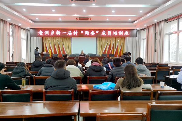 义安区老洲乡“四抓四促”为新一届村干部履新实干蓄力赋能.jpg