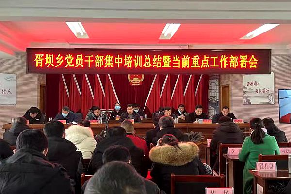义安区胥坝乡“学习四式”促党员干部教育培训提质增效.jpg