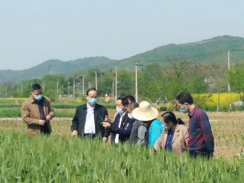 专家下田助春管_副本.jpg