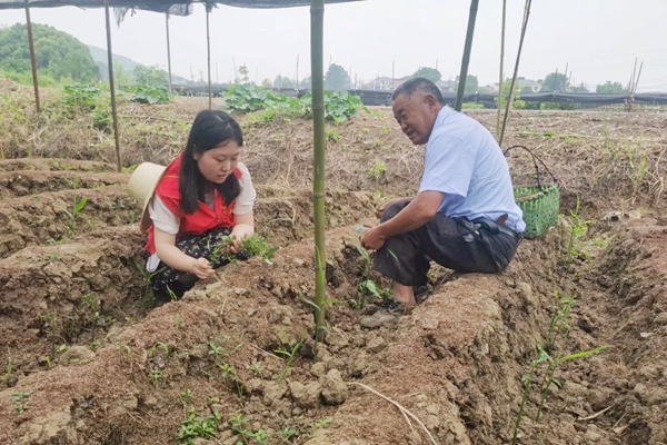 铜陵市：建好“三支队伍” 为乡村振兴聚力赋能.jpg