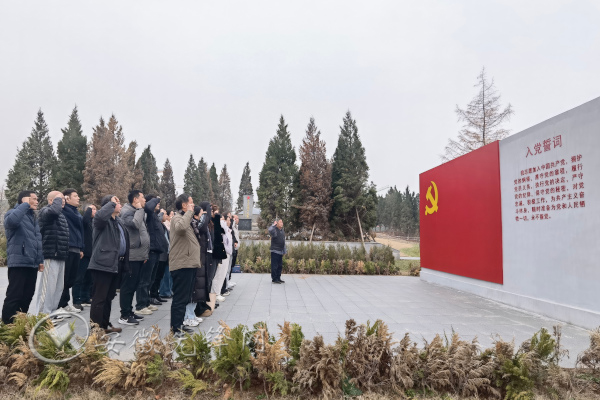 铜官区 流动党员.jpg